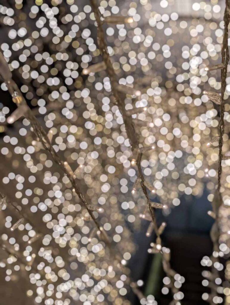 B&oslash;rresen M8 Gold Signature Loudspeaker And Aavik M-880 Mono Amplifier Launch Event with audio group denmark